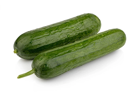 Cucumber Photography