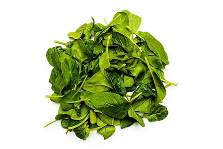 Fresh Spinach Photography